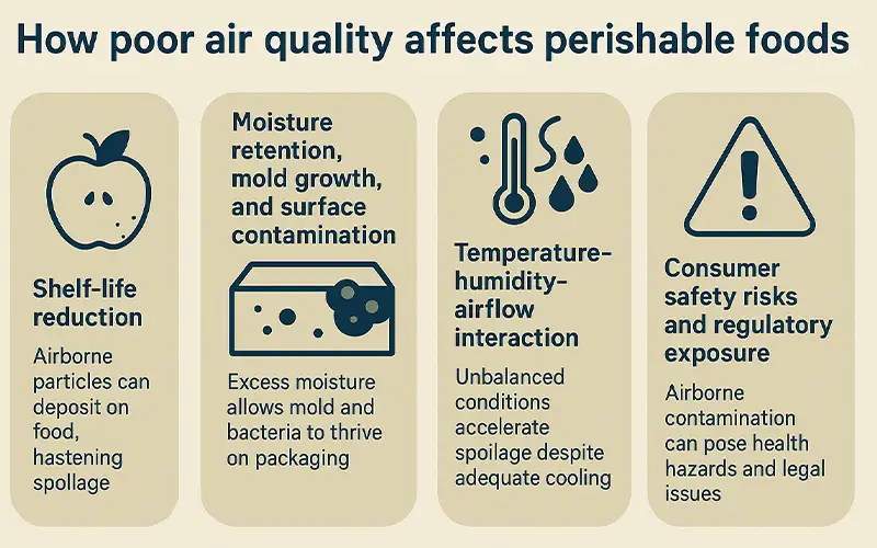 Why Air Filtration Matters in Cold Chain Food Transportation